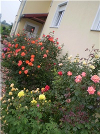 5720c08d-Picture 6585.jpg